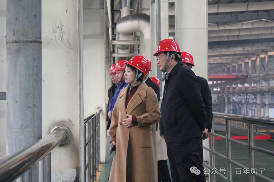 陈佳到乐投在线（中国）调研